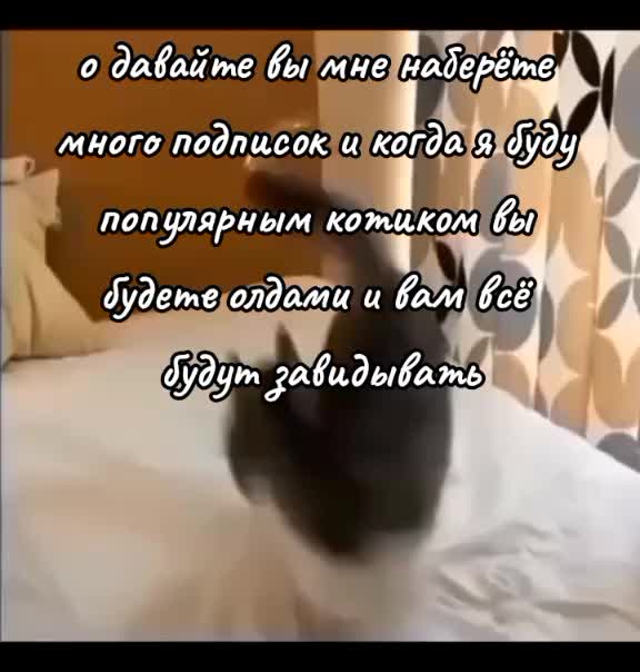 @komaruys