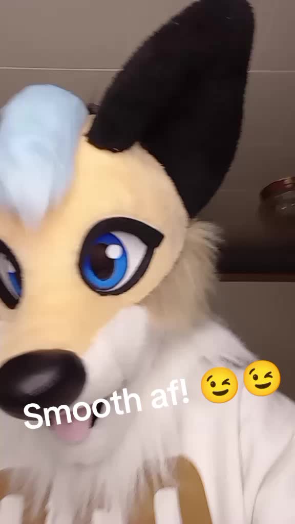 @Nixkat 🦊 🔜??