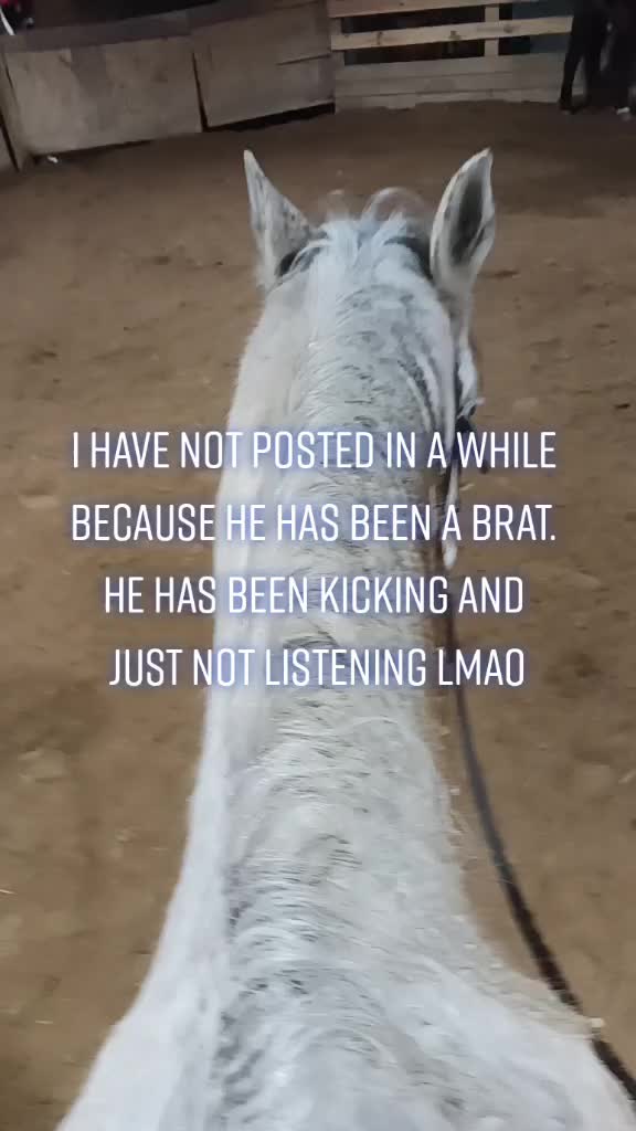 @horsie_rider