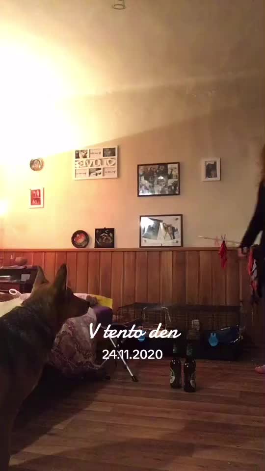 @Gollerka