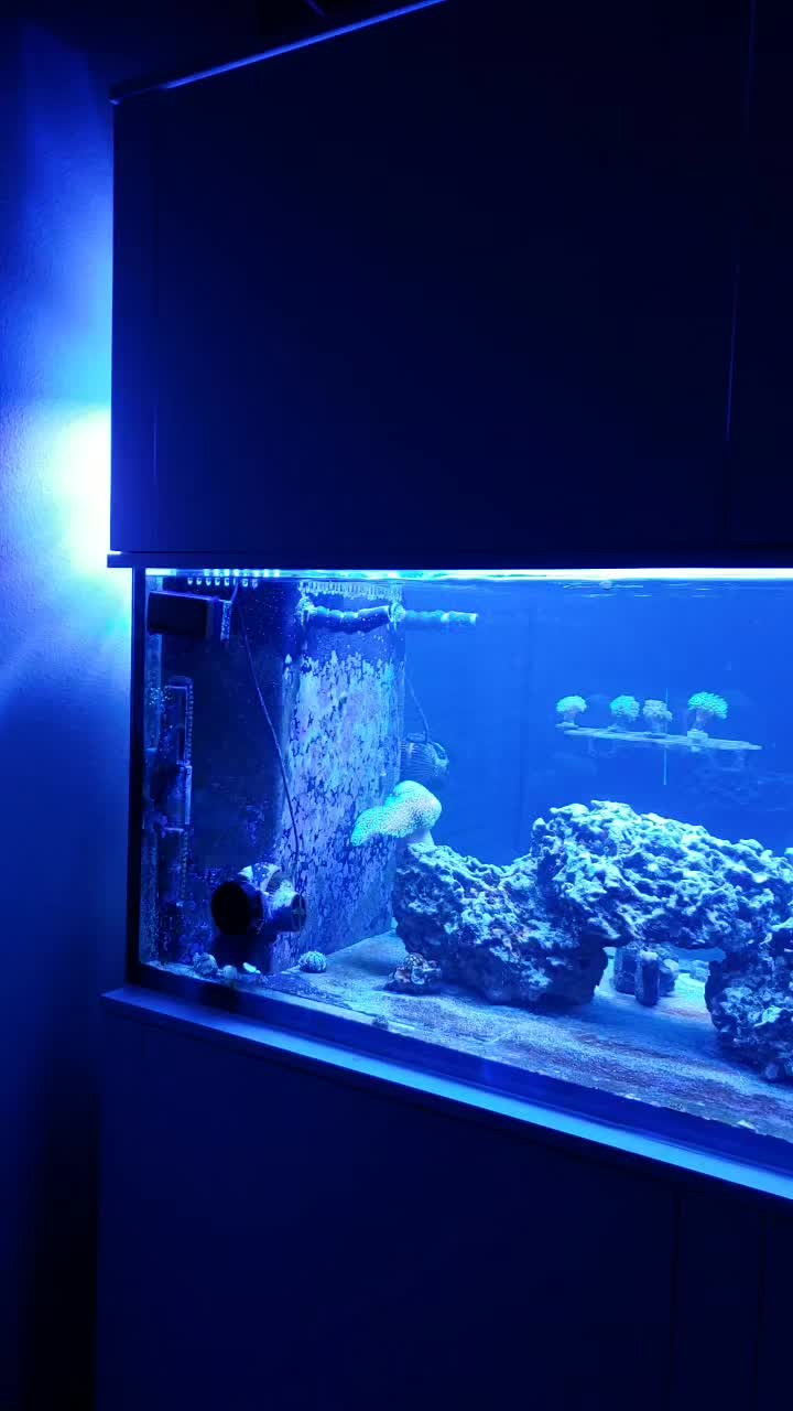 @300gallontank