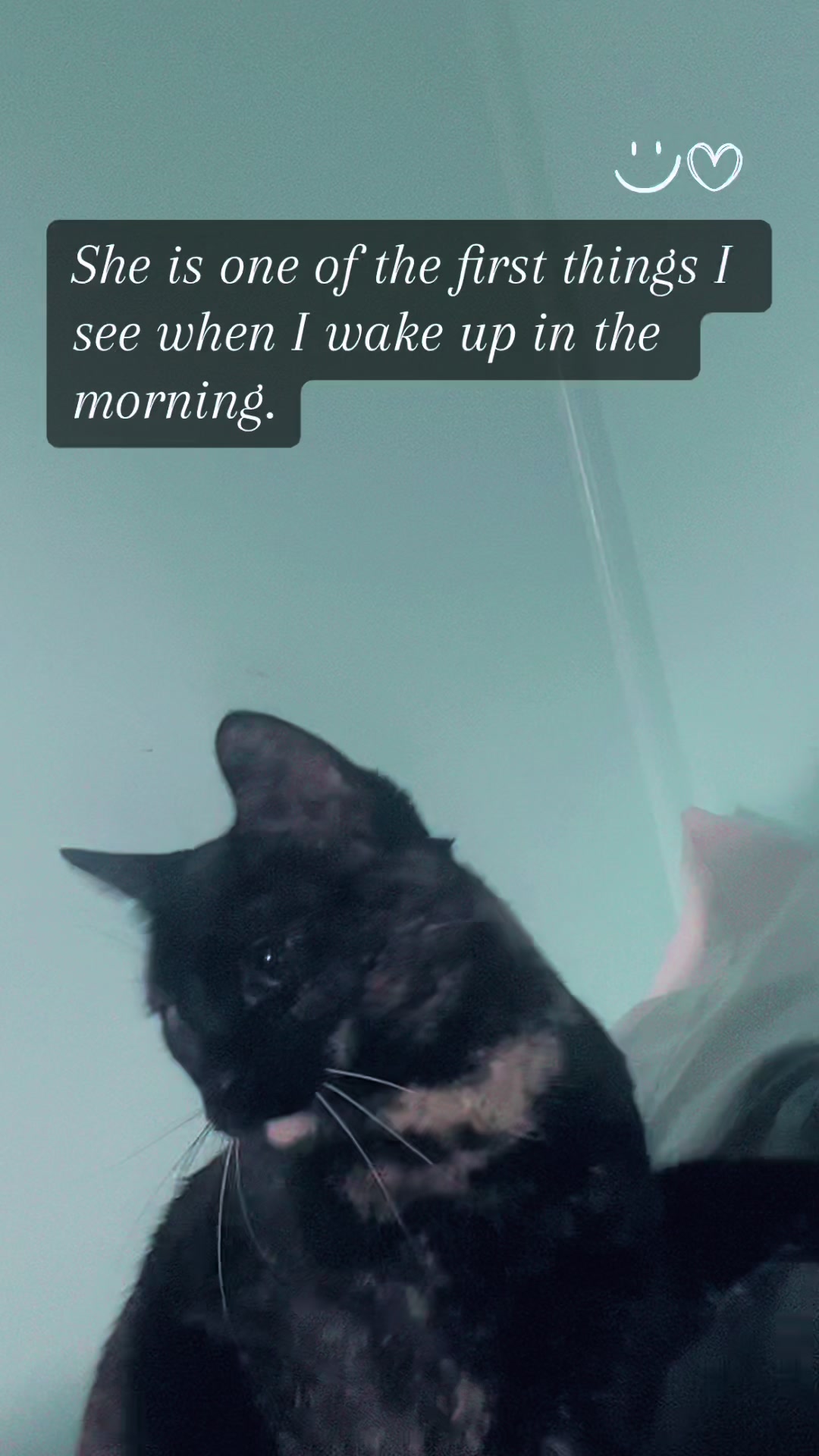 @Purrito, Taylor, and 13