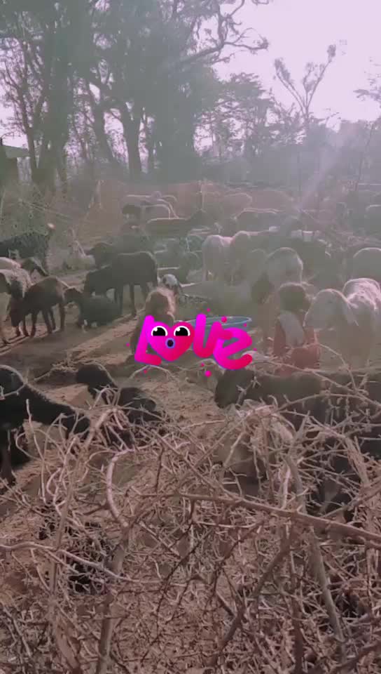 @user3594435250551