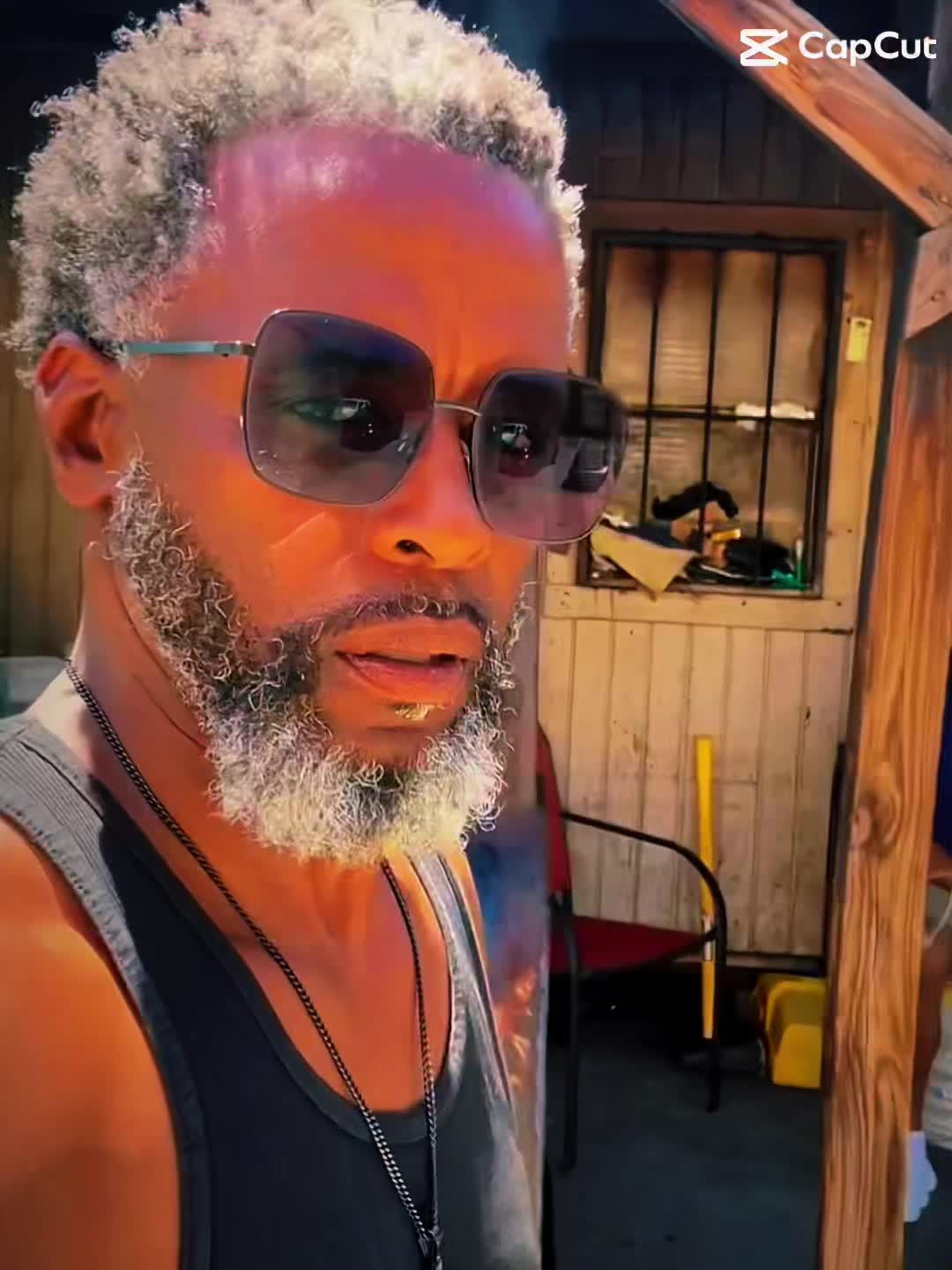 @The Vibeologist