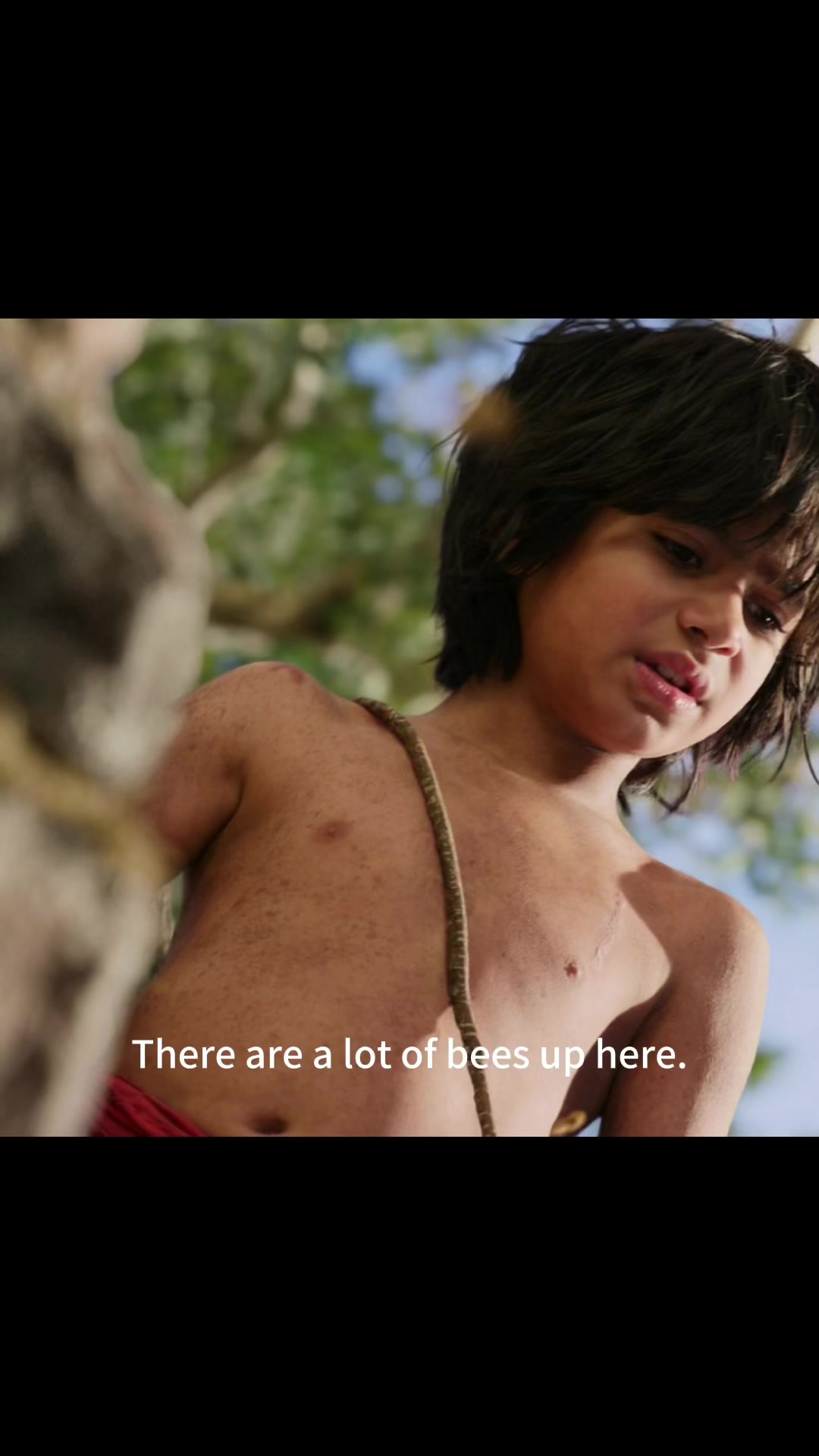 @Catomovie