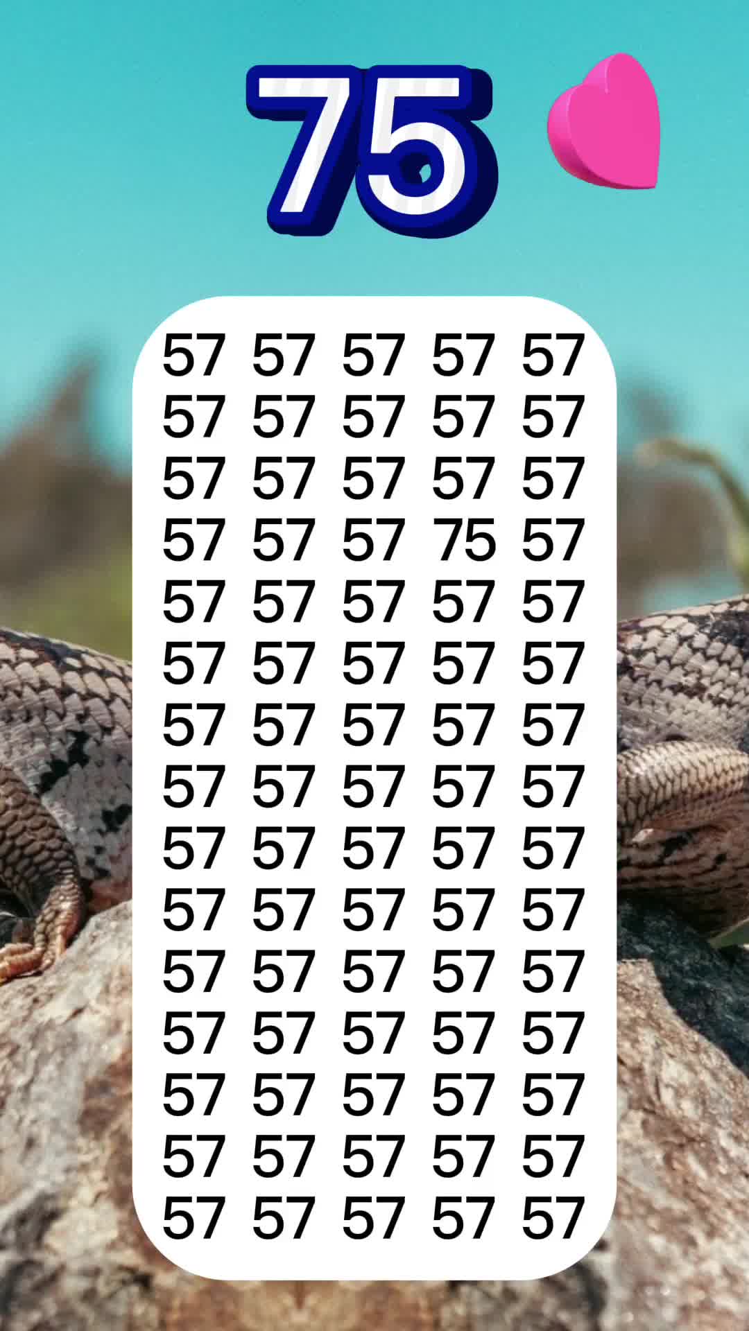 @Ip66