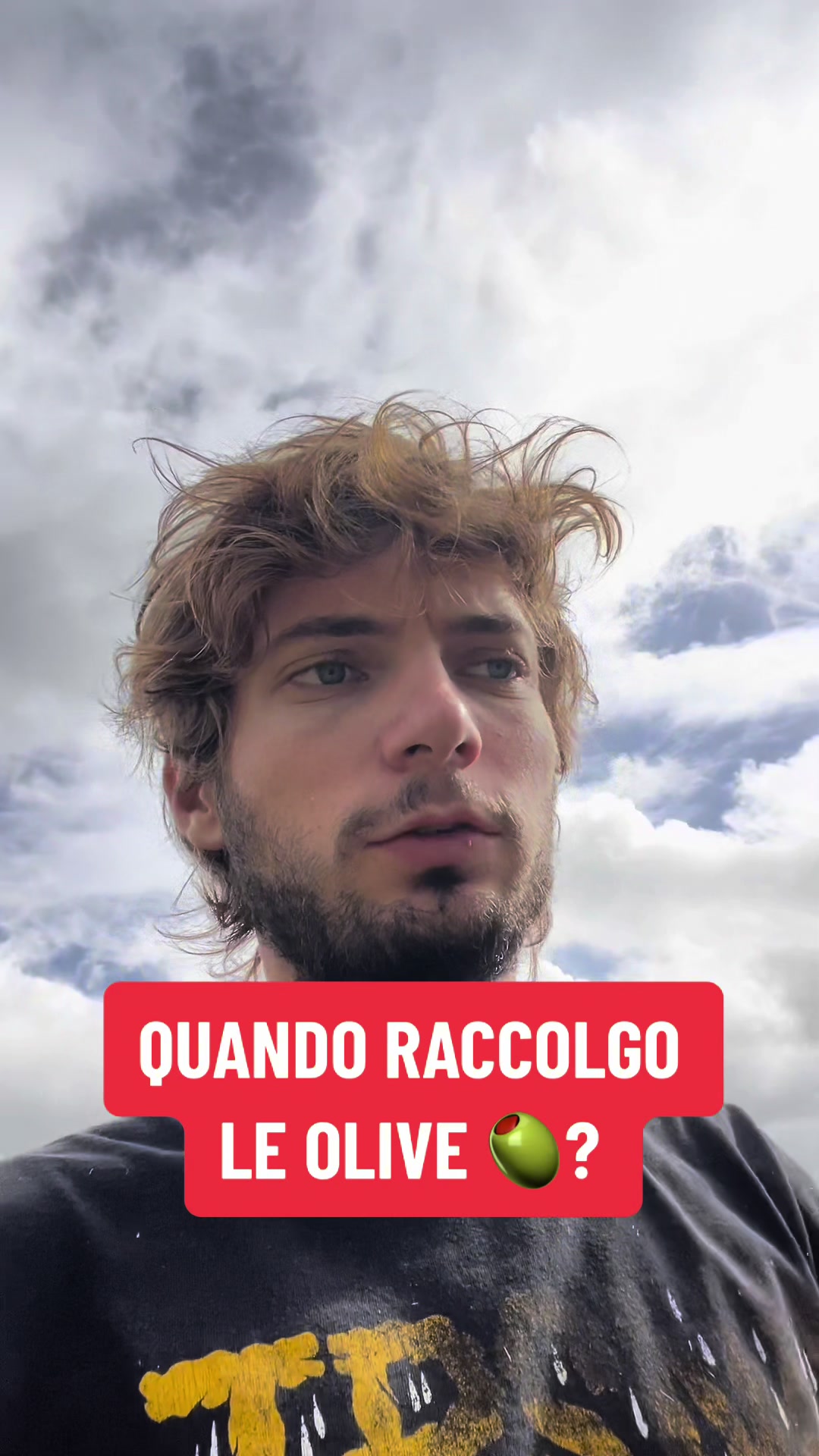 @dolcefattoria