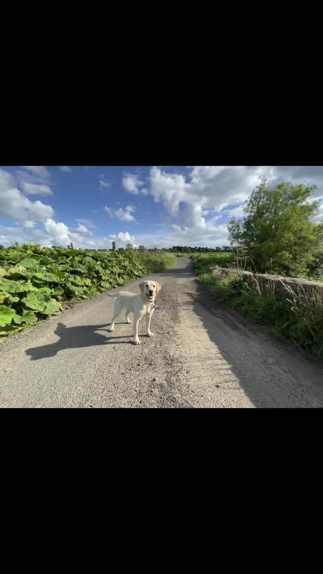 @Doozer_Sprocket_&_Fraggle