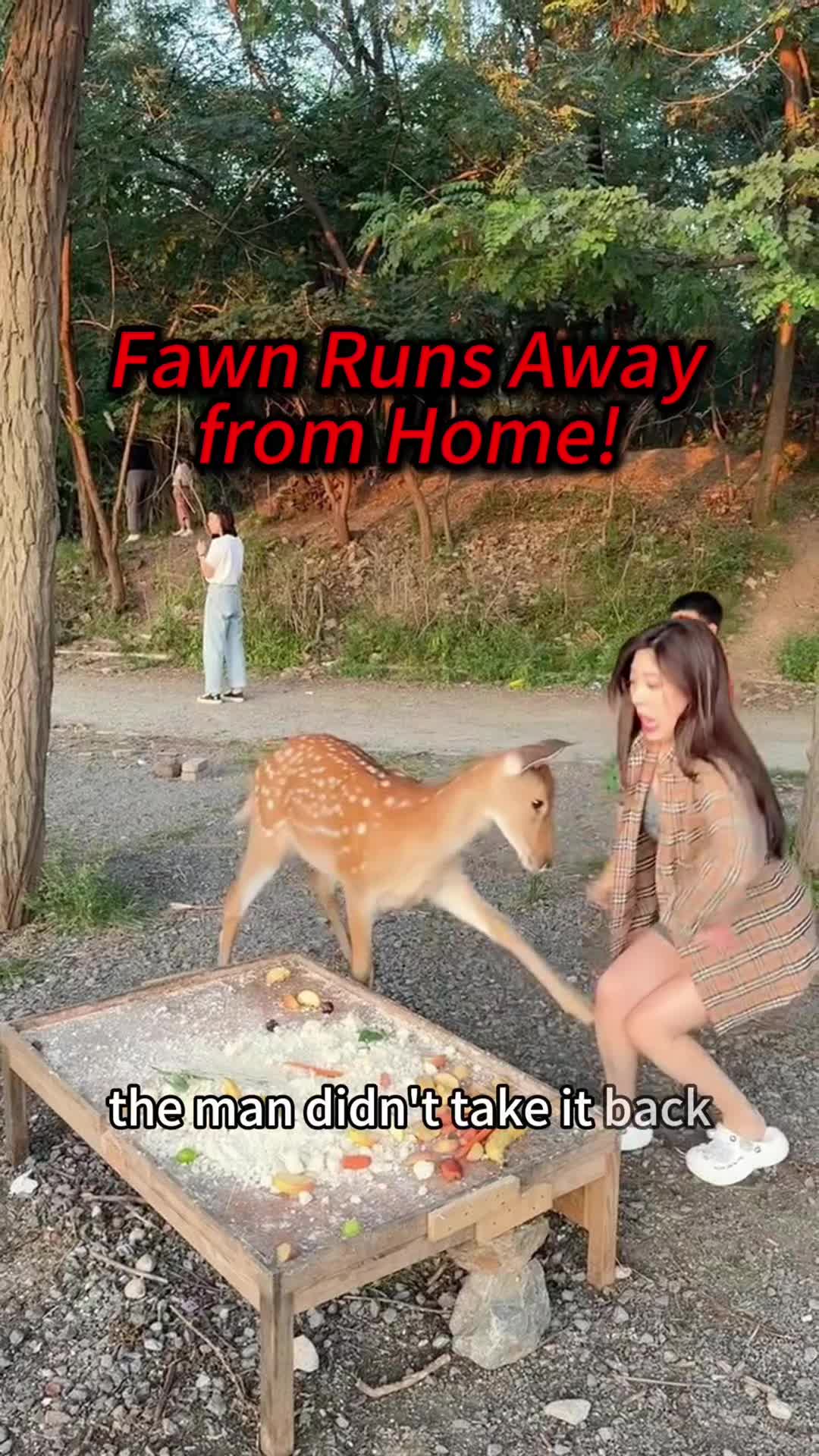 @Kiki_animals22