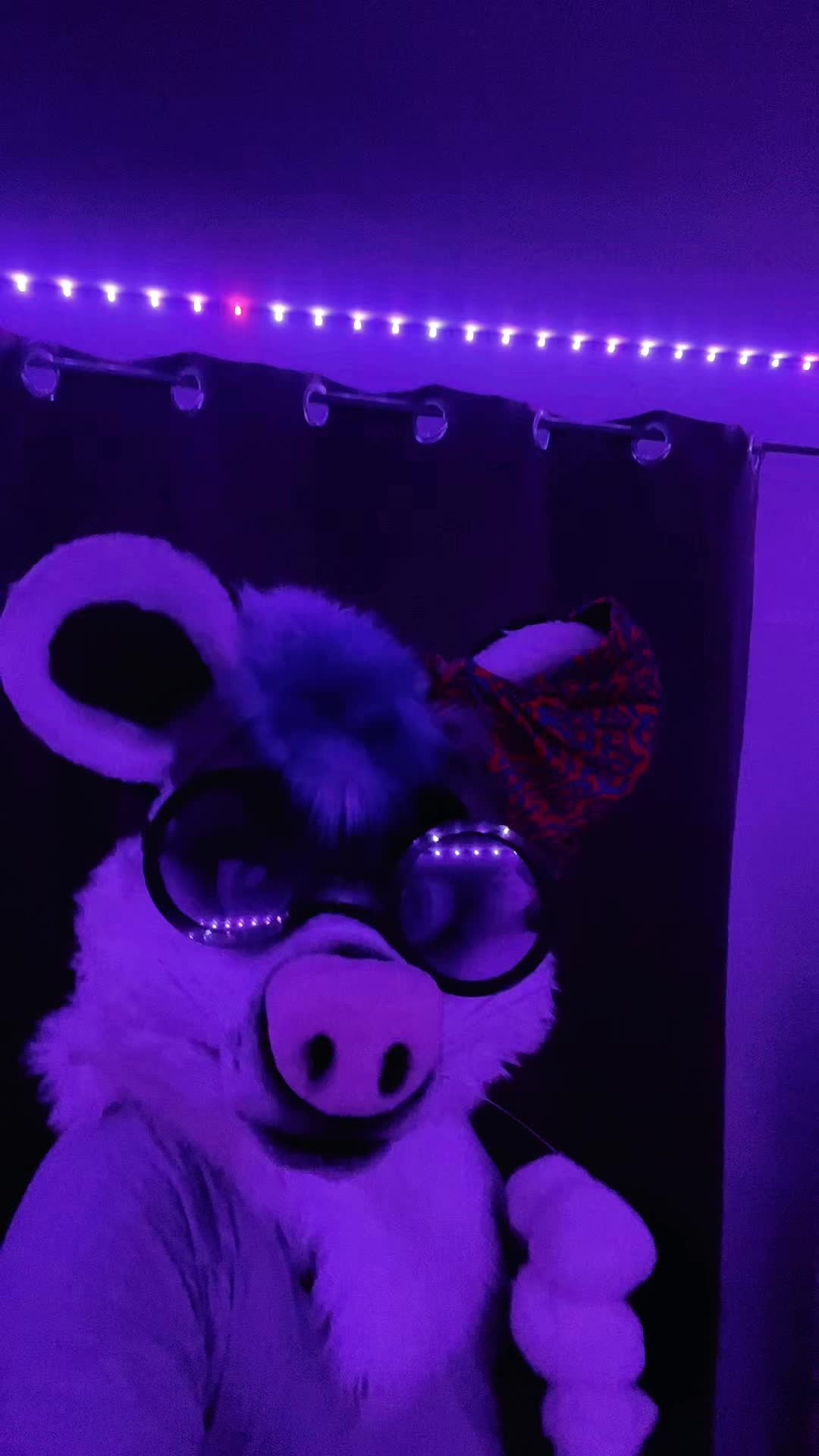 @StripeDaFox
