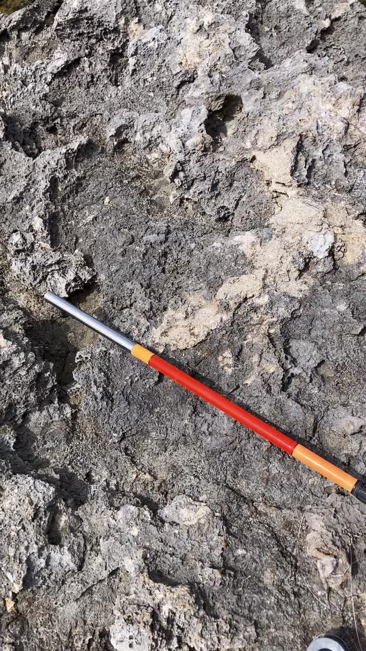 @Kamea