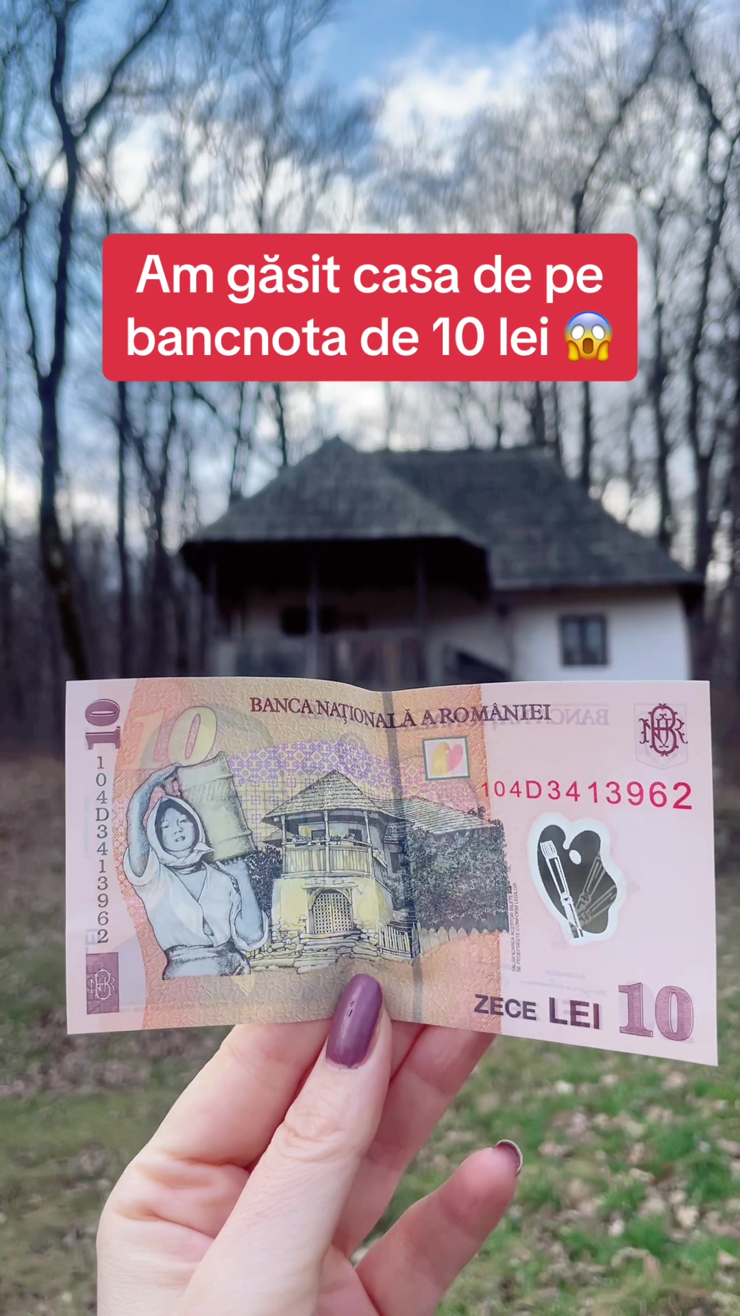 @surorilecalatoare