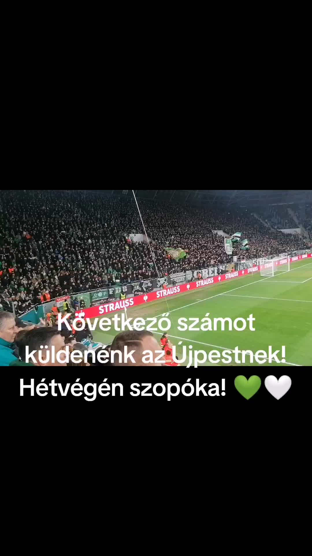 @papzsolt946💚💚💚🤍🤍🤍