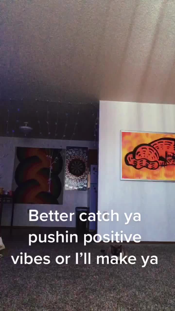 @Jesus Rodriguez