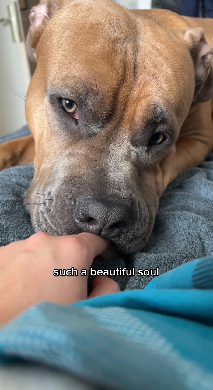 @lifeofpacoo