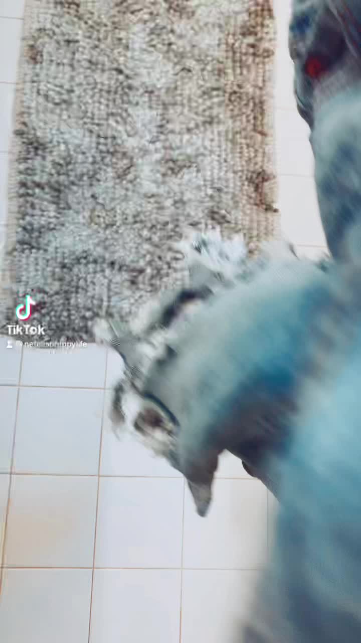 @Nefeli 🛍🌊❤️🤍🐬👄