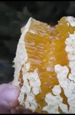 @user2626869241709
