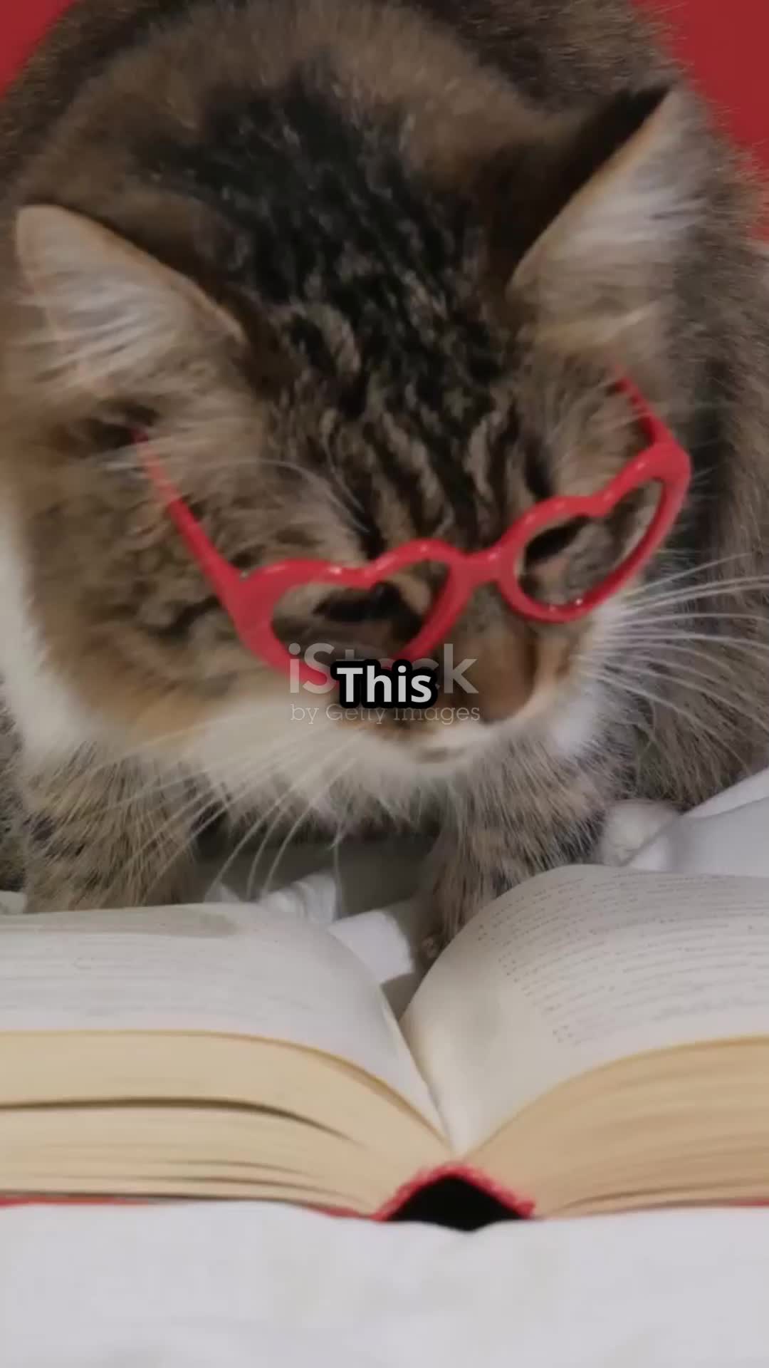 @RandomClips