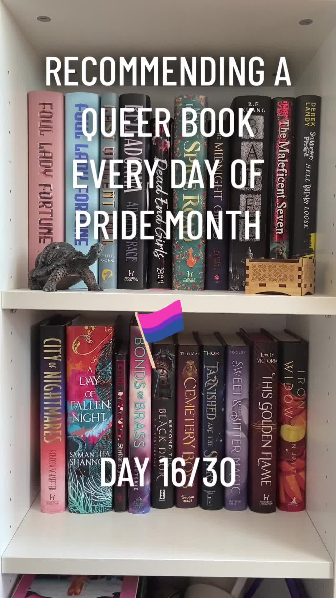 @el 🏳️🌈