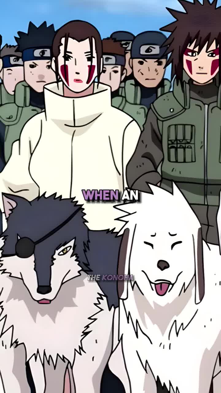 @thekonoha
