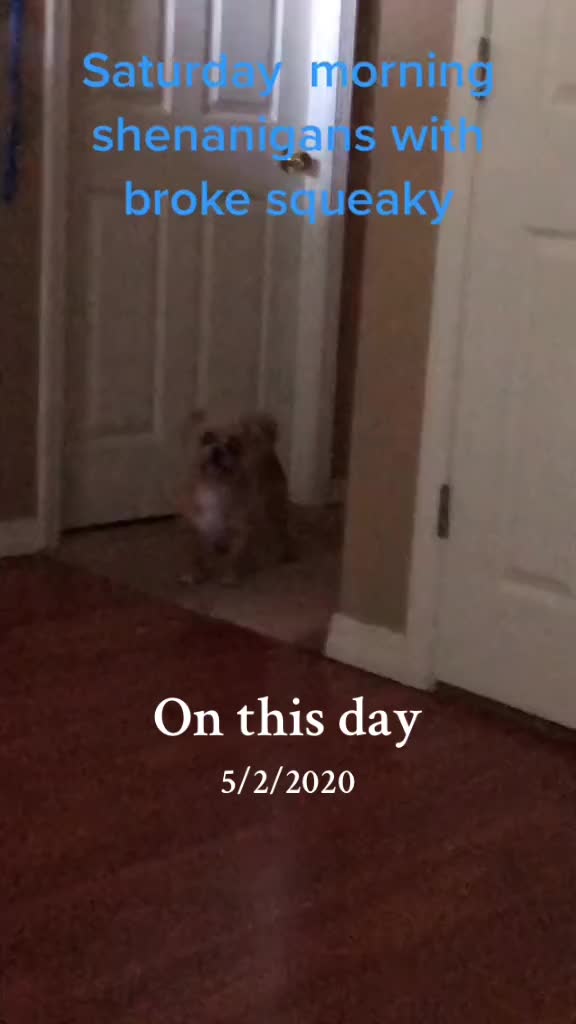 @Jan Jan