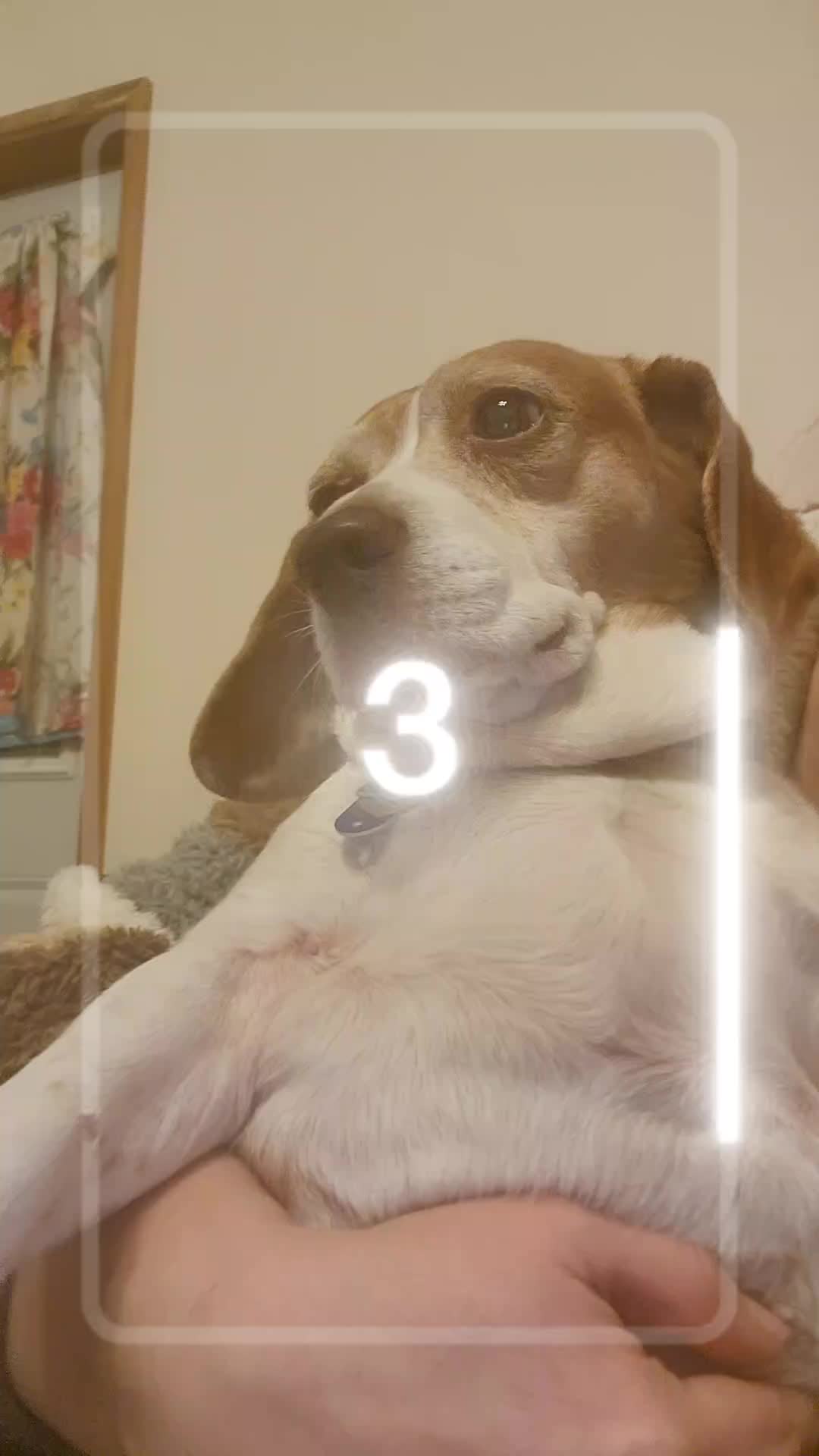 @FrostyFam5