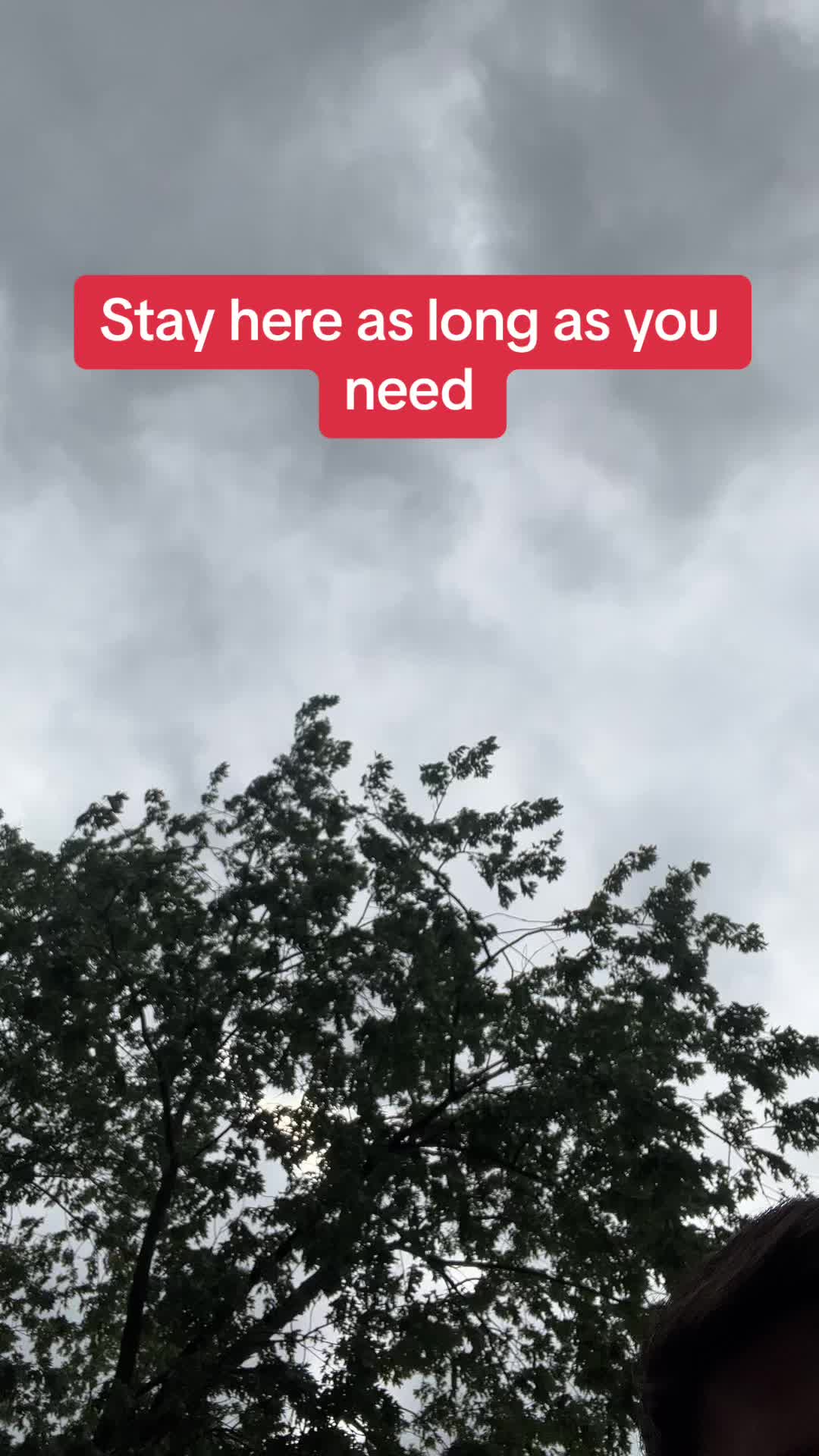@Joshua Falco