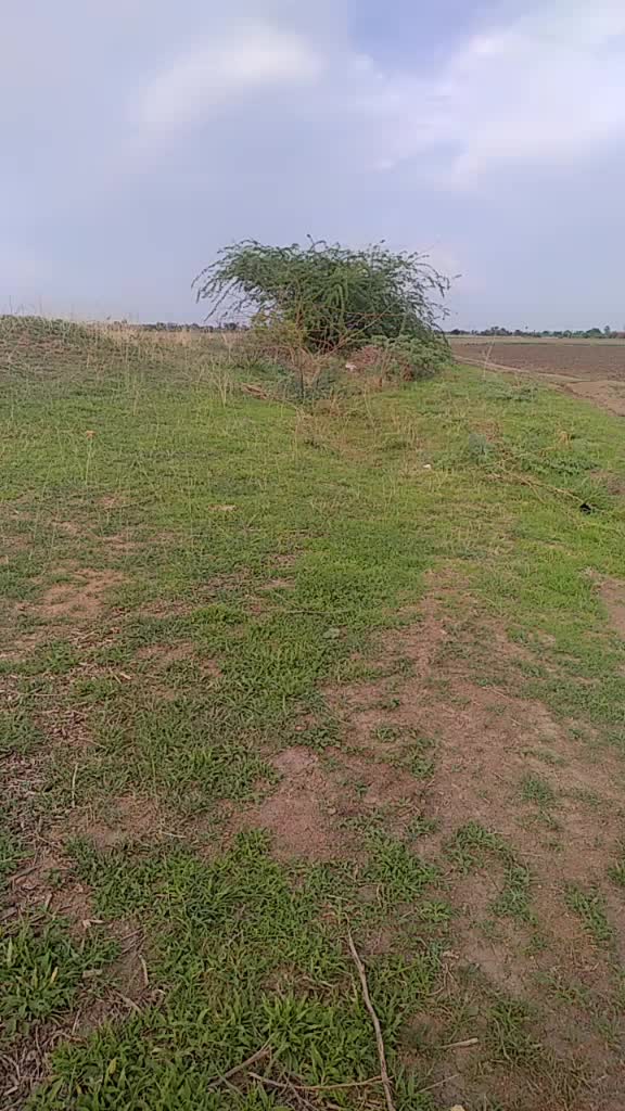 @shivaraj