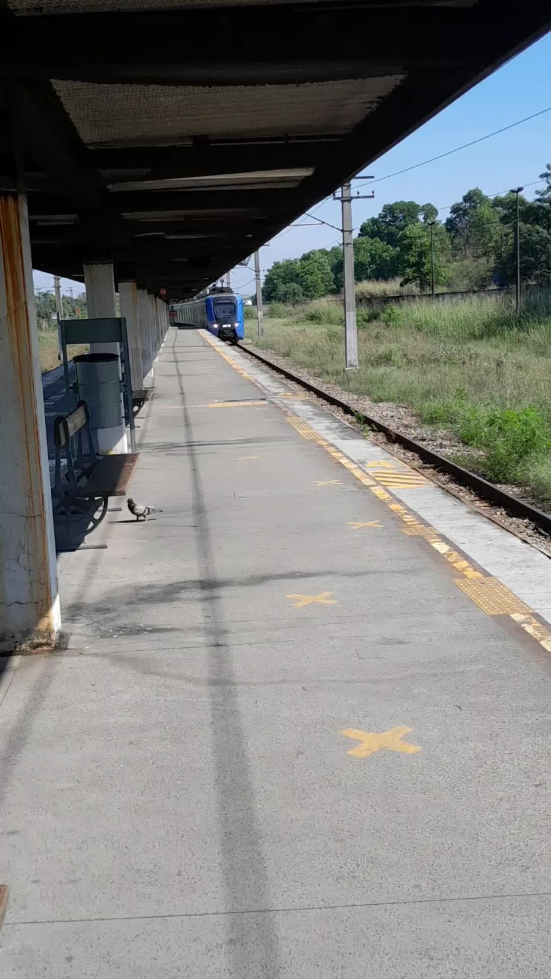 @AlexKid de Trem