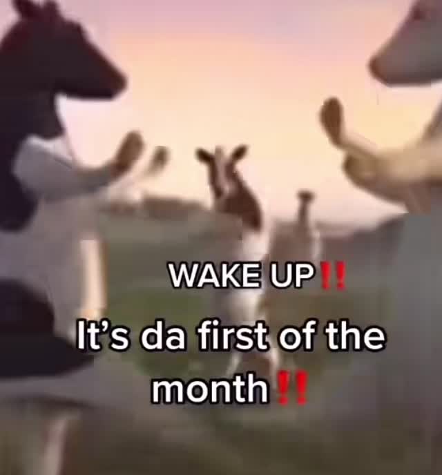 @&pound;BE&euro;ST&yen;
