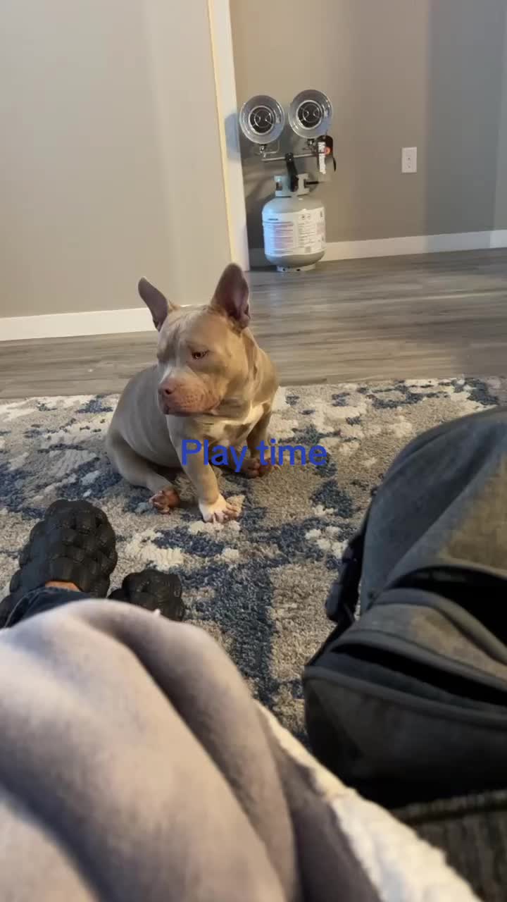 @pondsfreddy