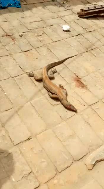 @Amarkumar Padhi