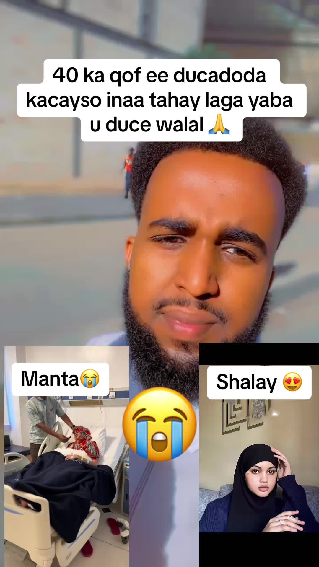 @Baharsame empire🦁🐎🇸🇴