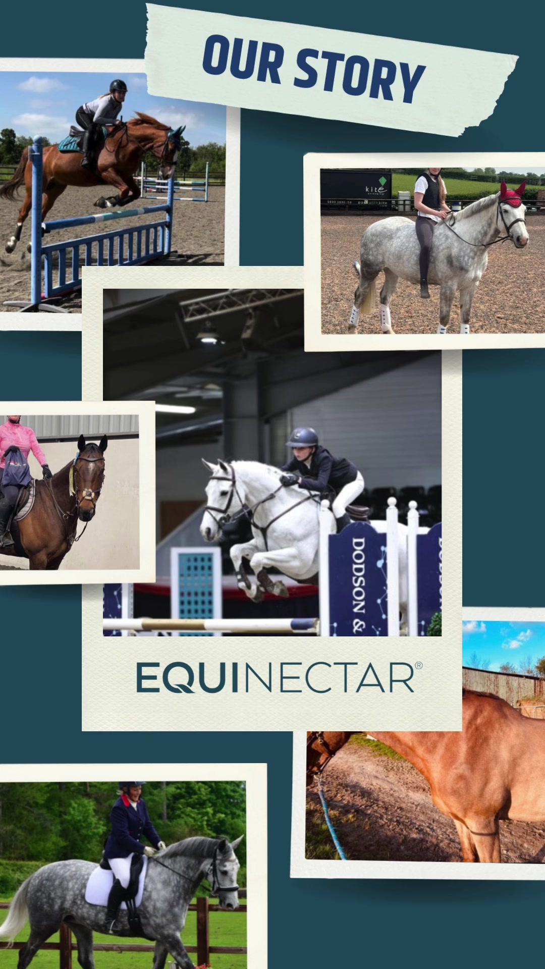 @equinectar