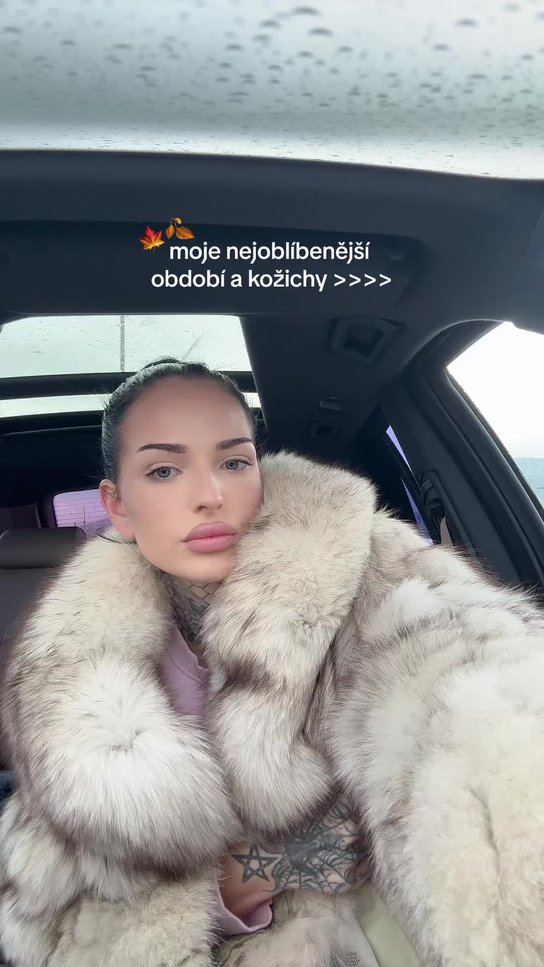 @luciebrousilova