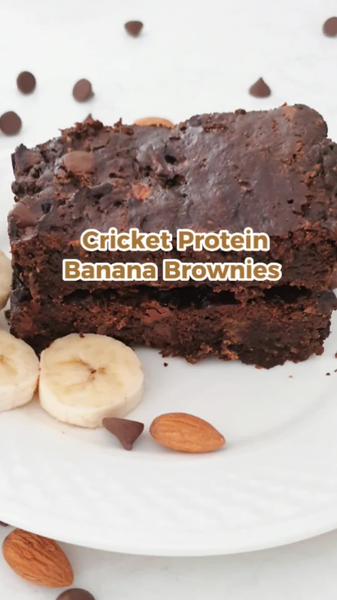 @proteincricket