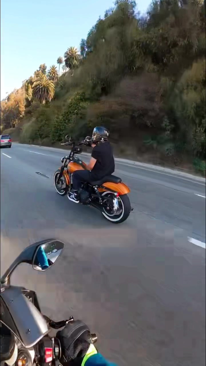 @Sonerflores666.