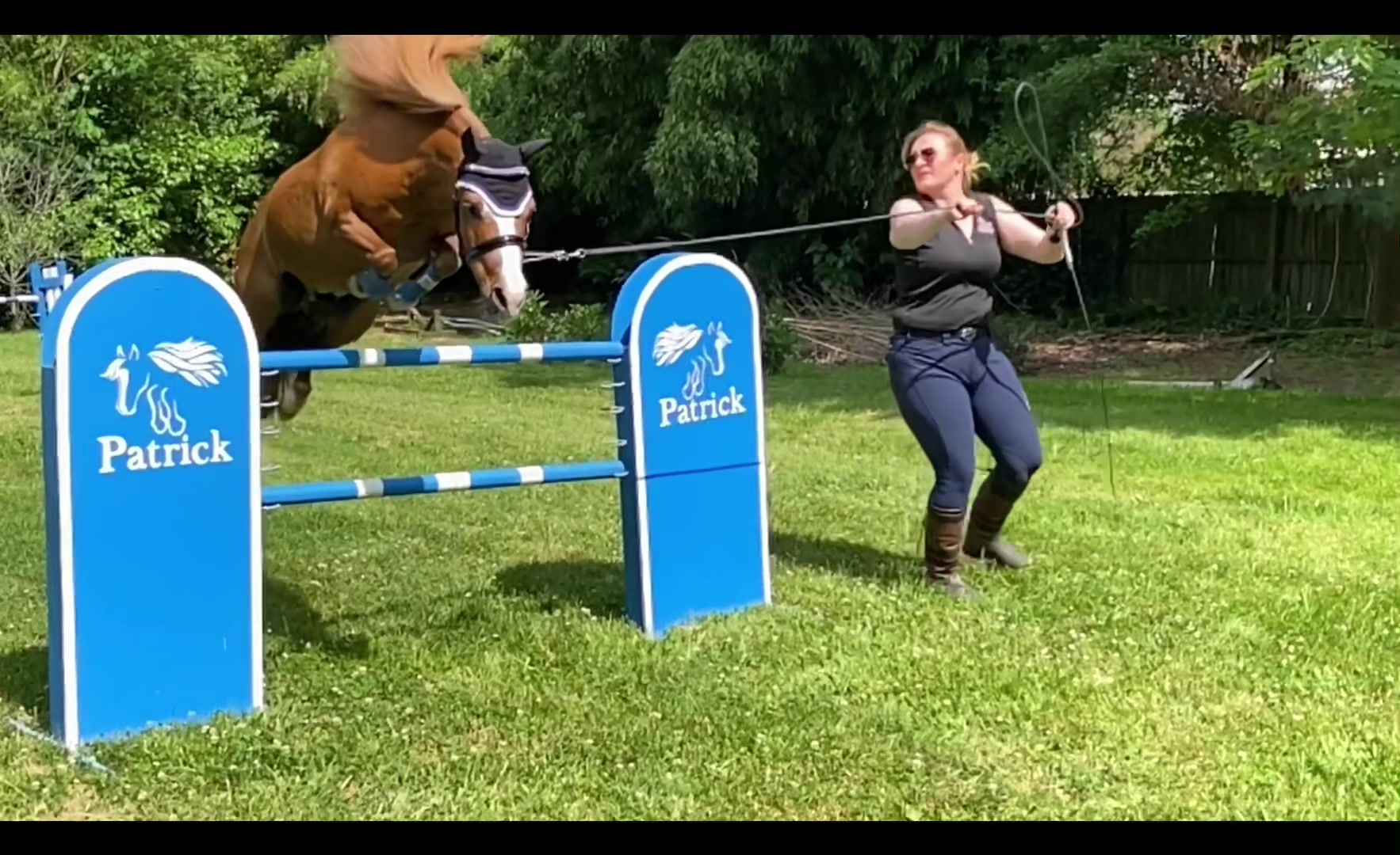 @Sarah & Patrick The Mini Horse