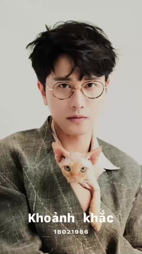 @Dandelion❤🐯