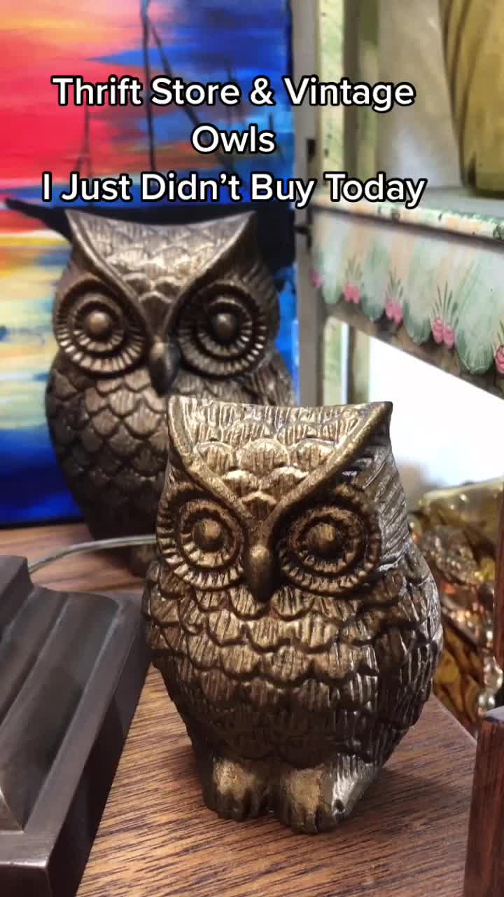 @LittleGoodWolf Show