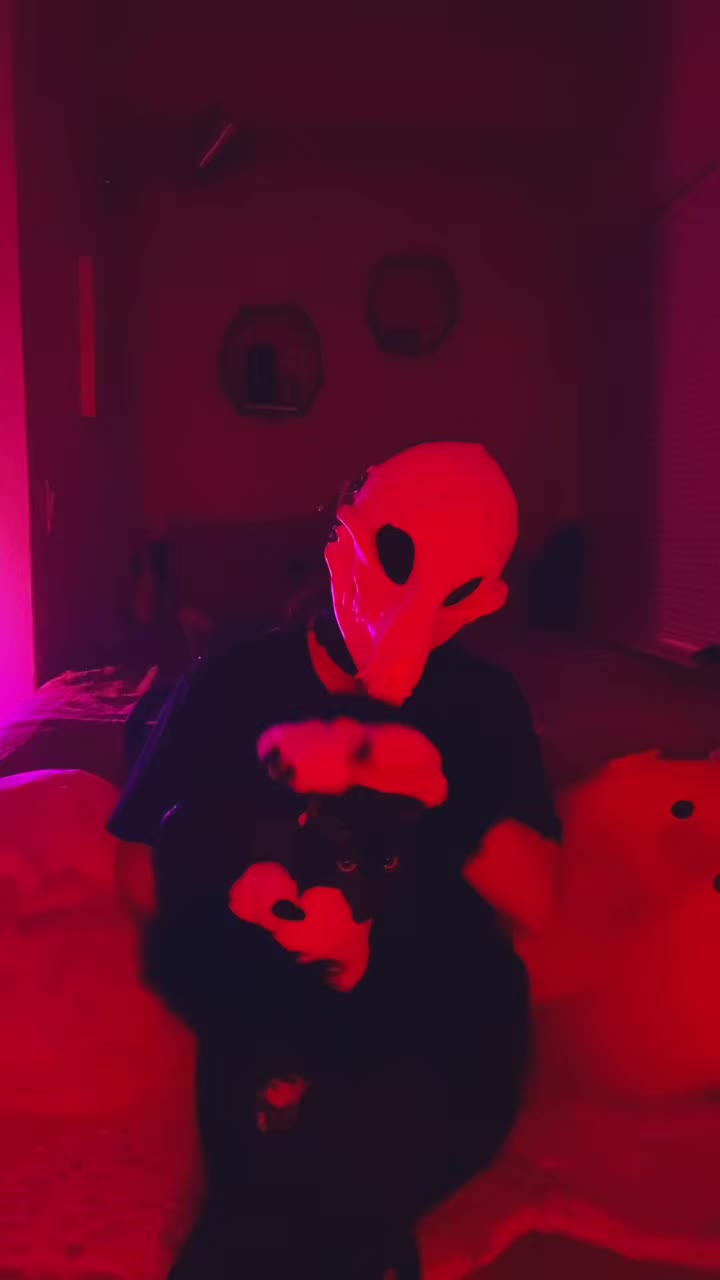 @Sergi305