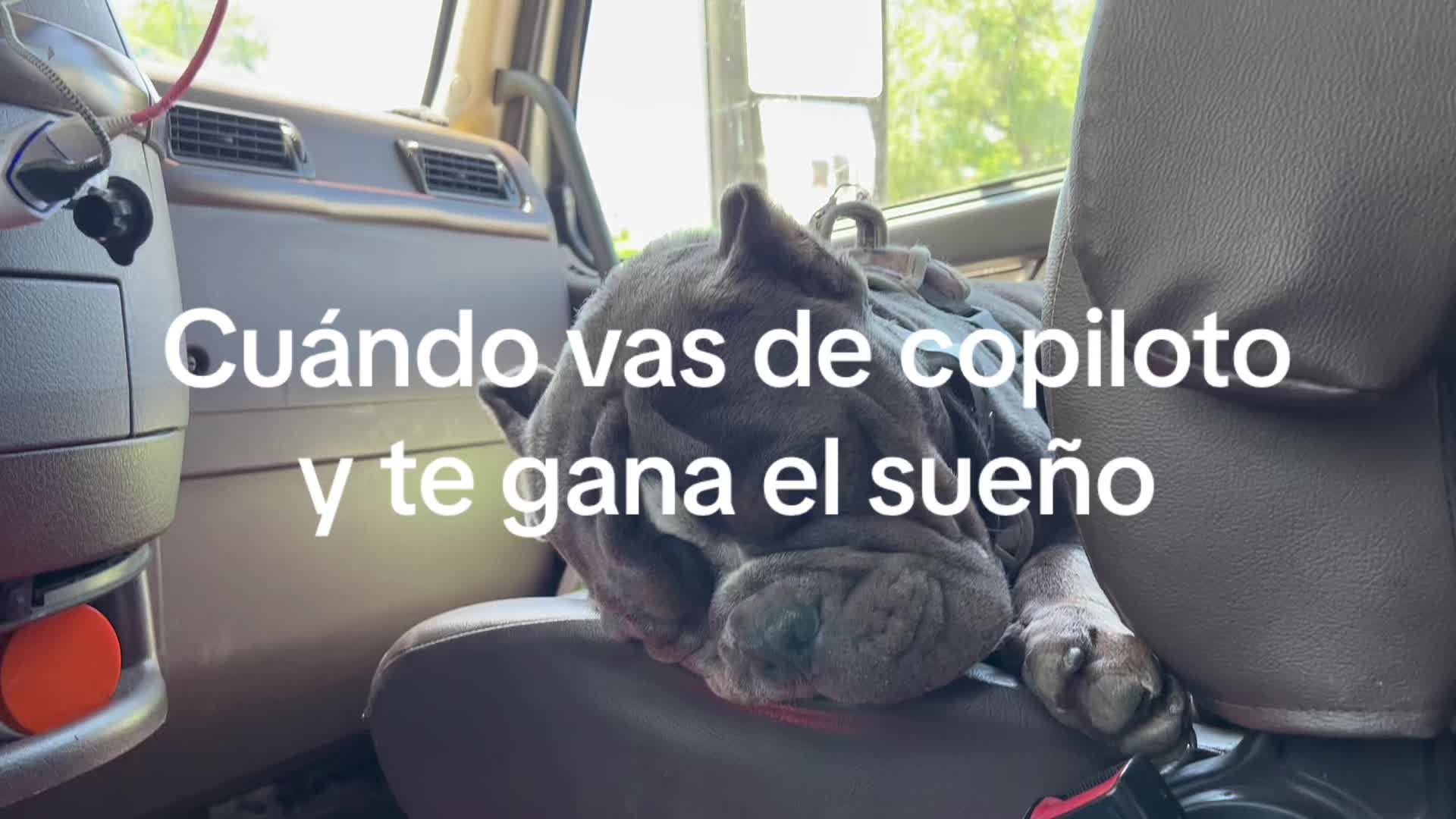 @Ana De La O Morales