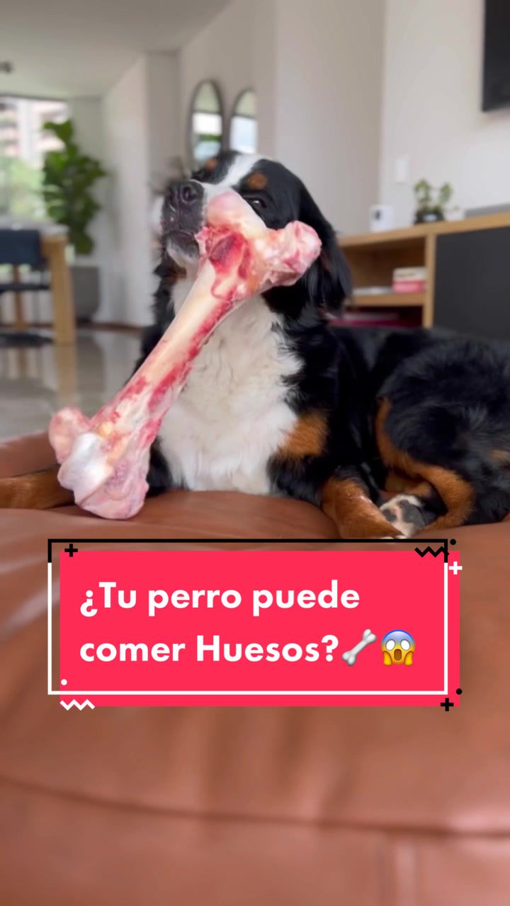 @Laura Londoño