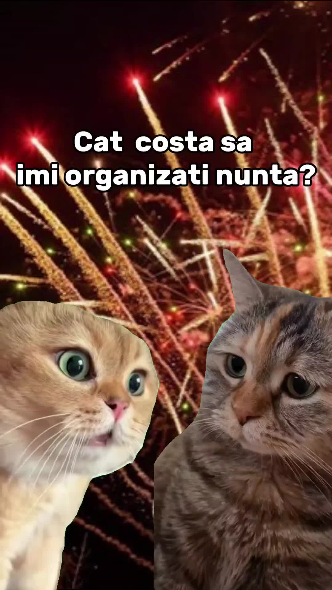 @Cristina Sucilea