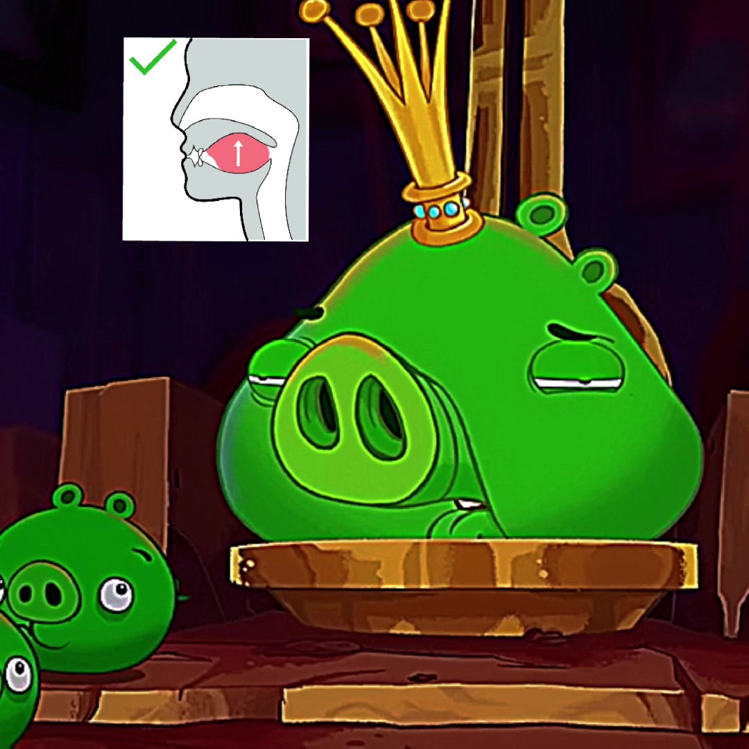 @bobafattpig_rehydrated0
