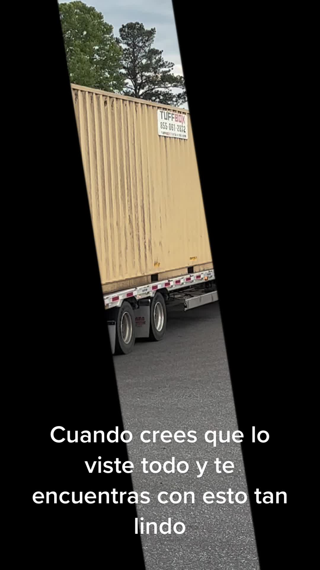 @Ana De La O Morales