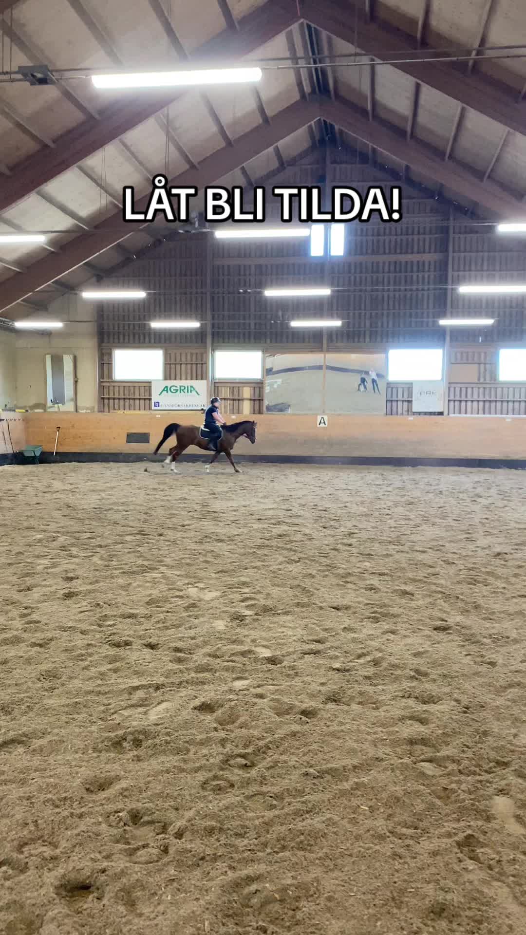@Tilda Zöller🇸🇪