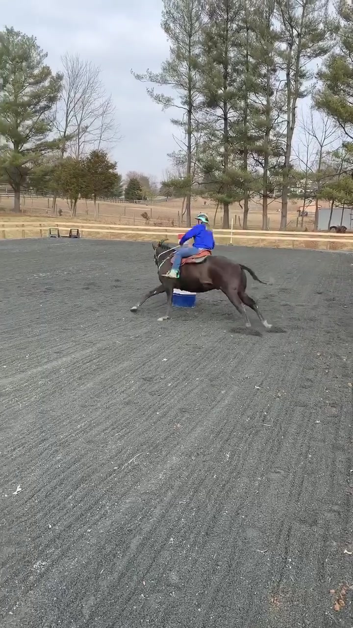 @Equine.blessings