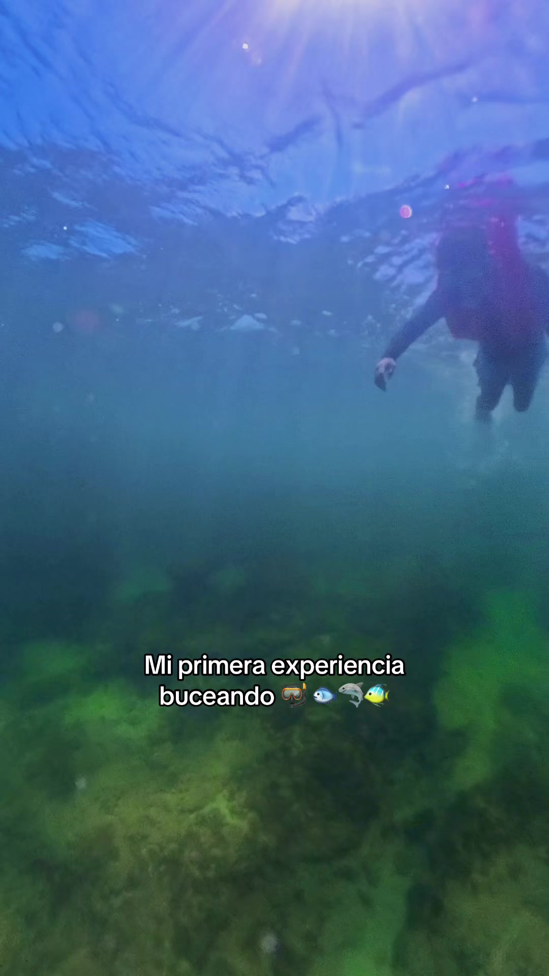@kleyder-jose