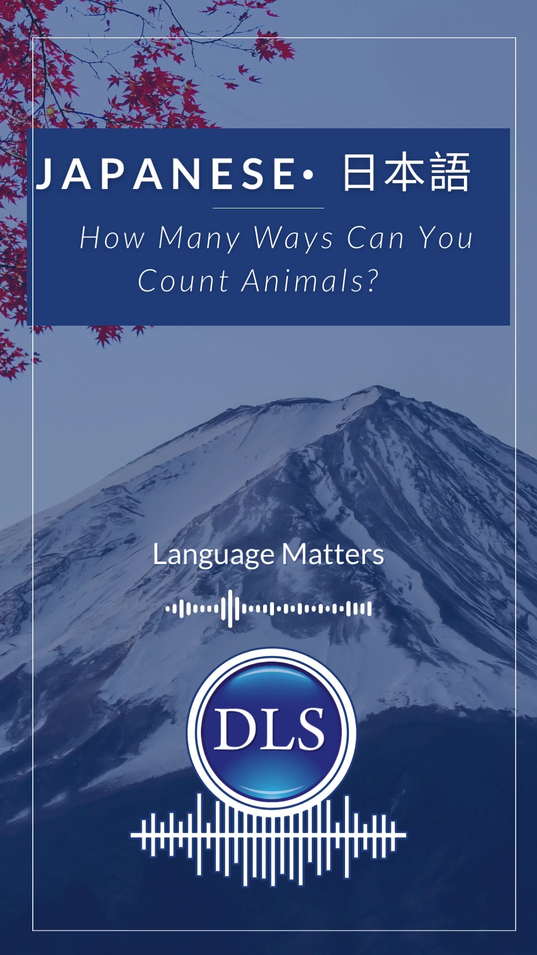 @Diplomatic Language Services